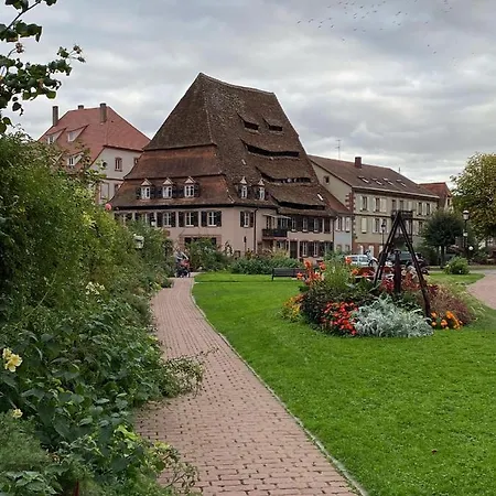 Studio Chaleureux Tout Equipe - Wifi - Parking Gratuit - Proche De La Nature Wissembourg