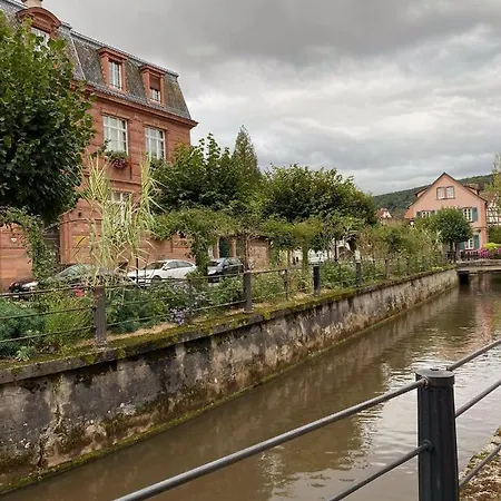 Studio Chaleureux Tout Equipe - Wifi - Parking Gratuit - Proche De La Nature * Wissembourg