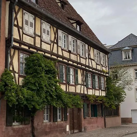 Studio Chaleureux Tout Equipe - Wifi - Parking Gratuit - Proche De La Nature