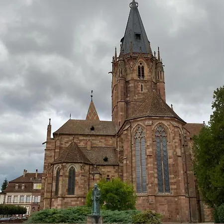 Studio Chaleureux Tout Equipe - Wifi - Parking Gratuit - Proche De La Nature Wissembourg