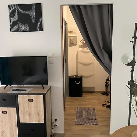 Studio Chaleureux Tout Equipe - Wifi - Parking Gratuit - Proche De La Nature Wissembourg