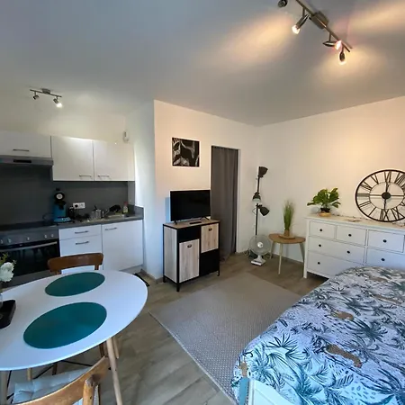 Studio Chaleureux Tout Equipe - Wifi - Parking Gratuit - Proche De La Nature Διαμέρισμα Wissembourg