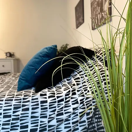 Appartement Moderne équipé Wifi - Parking Gratuit - Proche De La Nature Wissembourg