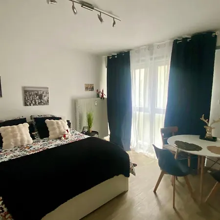 Studio Chaleureux Tout Equipe - Wifi - Parking Gratuit - Proche De La Nature * Wissembourg