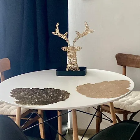 Studio Chaleureux Tout Equipe - Wifi - Parking Gratuit - Proche De La Nature Διαμέρισμα Wissembourg