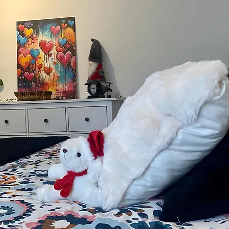 Moderne Equipe Wifi - Parking Gratuit - Proche De La Nature